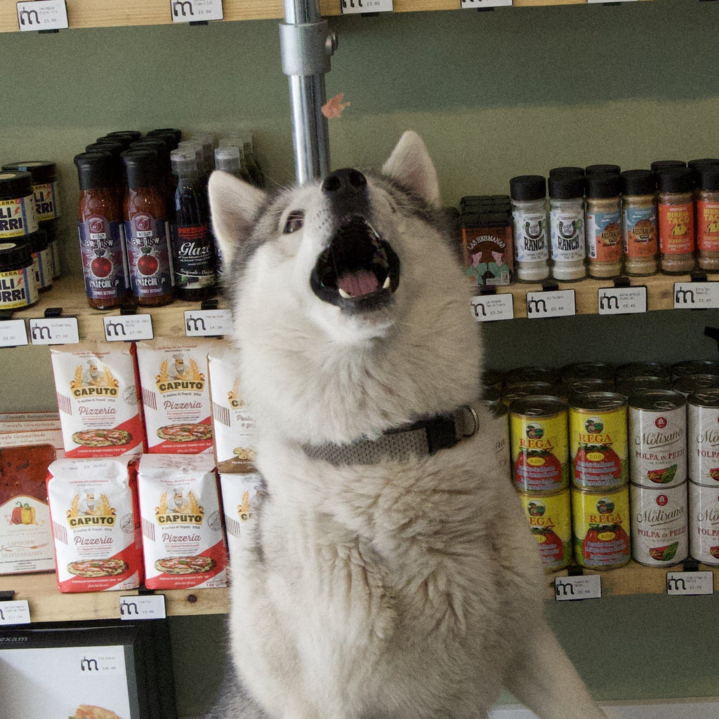 Barkuterie Pot